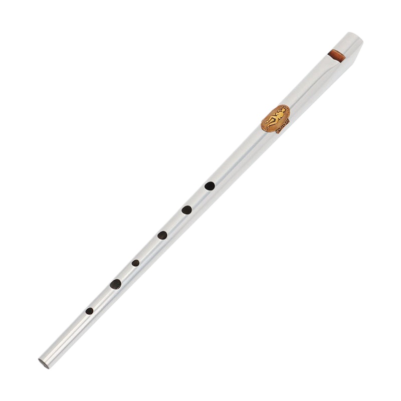 Tin Whistle Flute - Flet blaszany D/C dla początkujących, przenośny,