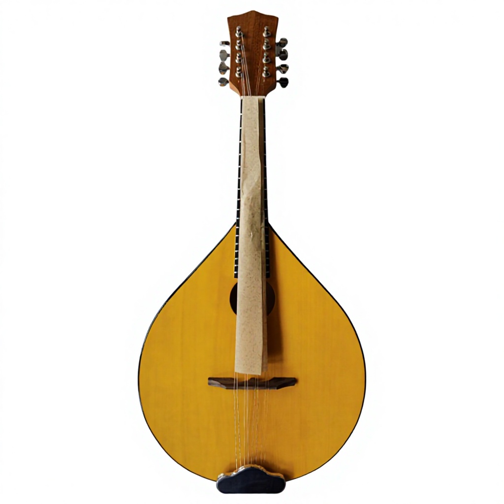Musical Instrument Banjo - 8-strunowe banjo akustyczne, tył i boki