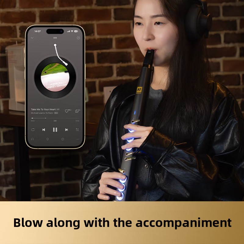 C20 true sampling, domowy, wys – Musical Instrument That You Blow Into recenzja i cena