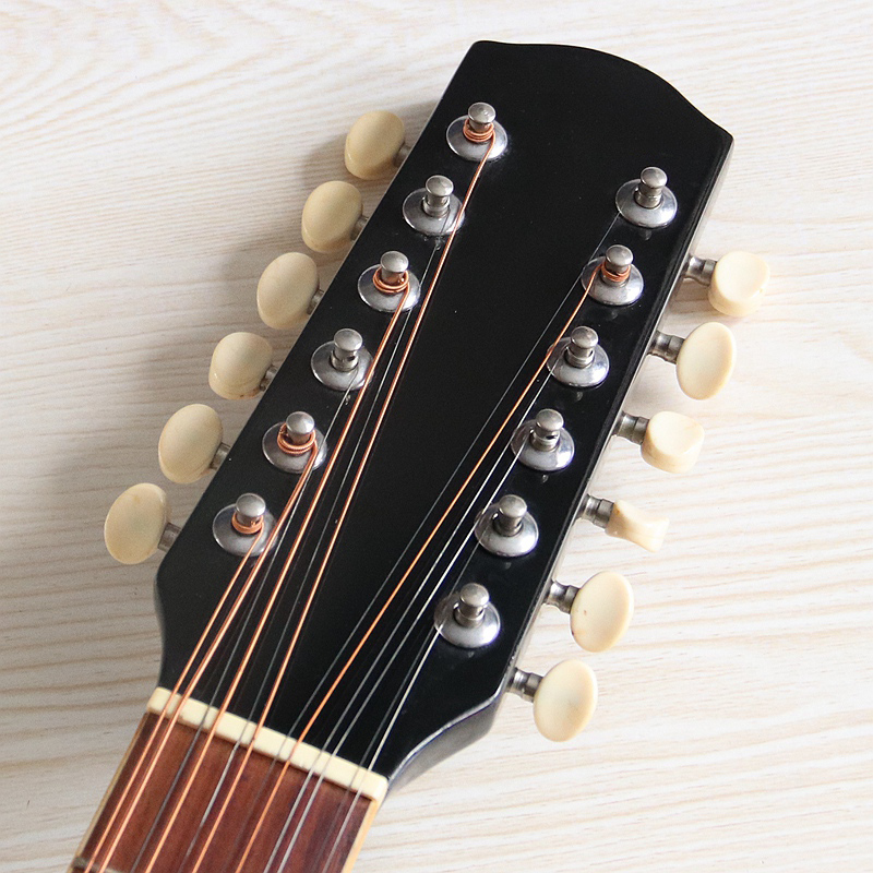 Gitara elektroakustyczna 12-st – Dobro Resonator Guitar recenzja i cena
