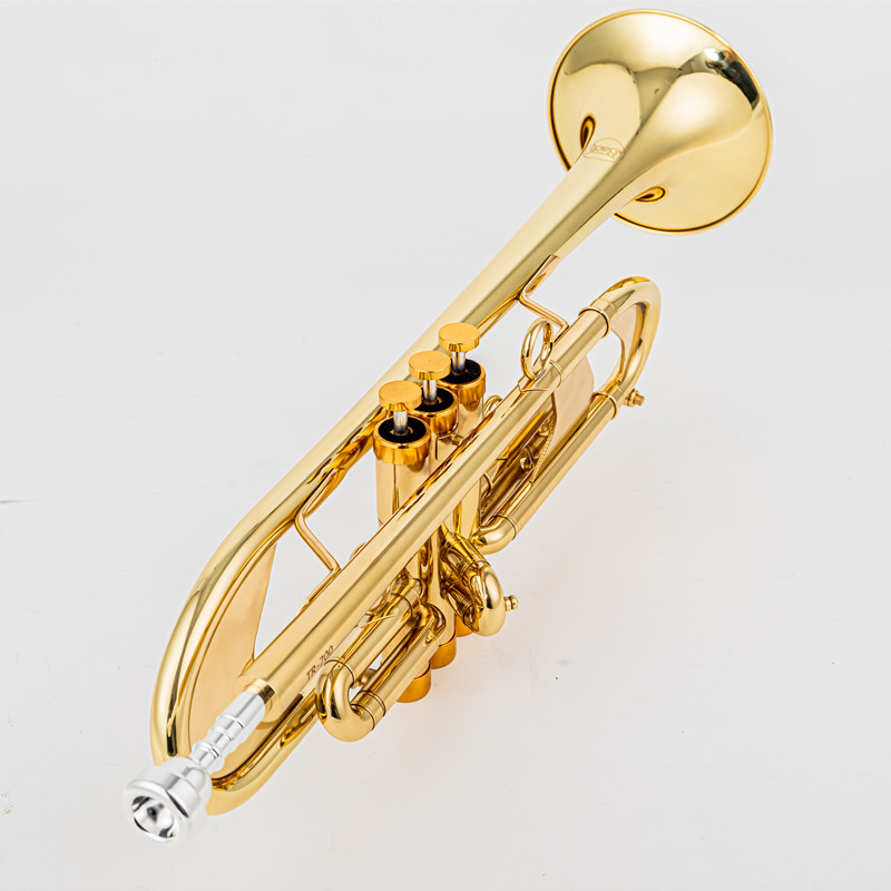 Trąbka Vincent BACH 700 Bb Trą – Musical Instrument Fagot recenzja i cena