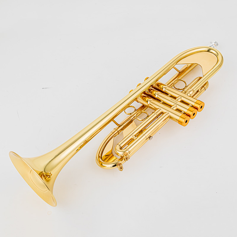Trąbka Vincent BACH 700 Bb Trą – Musical Instrument Fagot recenzja i cena