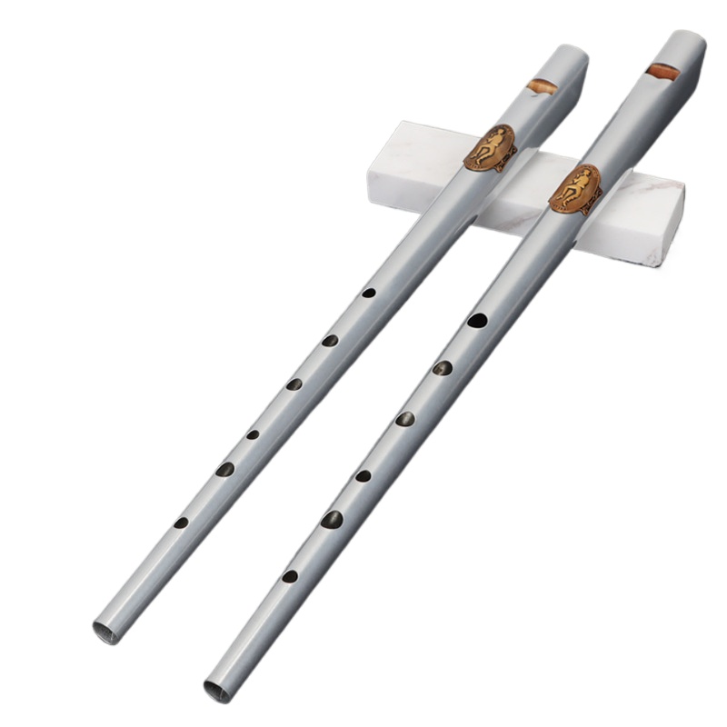 Flet blaszany D/C dla początku – Tin Whistle Flute recenzja i cena